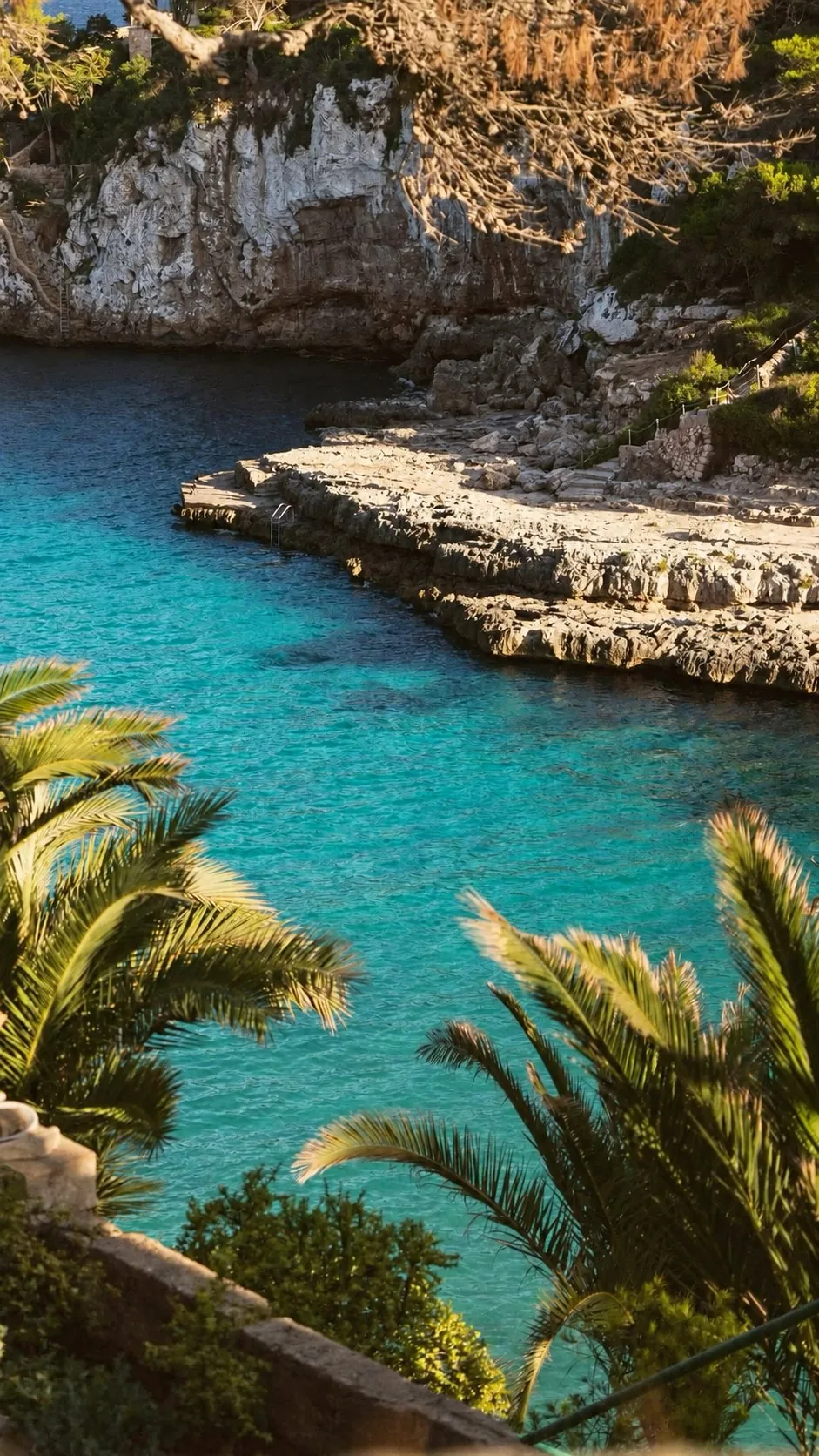 A quiet cove on the southwest coast of Mallorca, with palms above turquoise water
